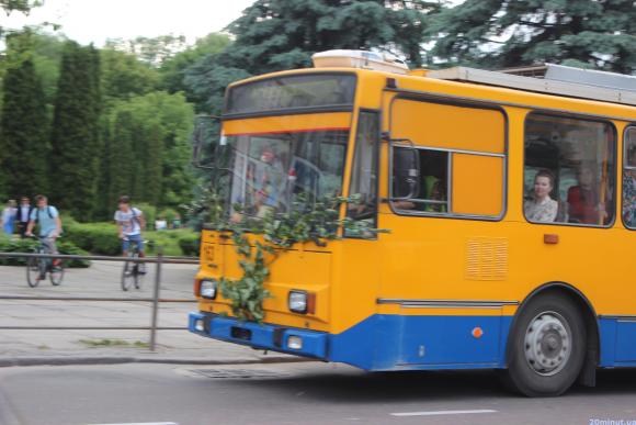 Фото дня: зеленим листям прикрасили транспорт та домівки, фото №2 на сайті 20minut.ua