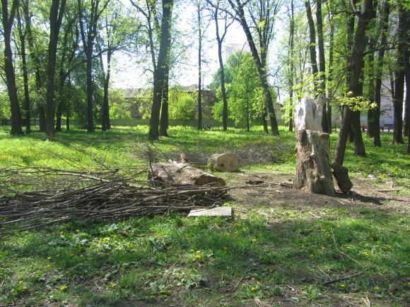 Парк «Хімік» прибирали шестирічні діти і майбутні мами, фото №5 на сайті 20minut.ua