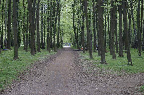 Що залишилось в Лісопарку після святкування Першотравня, фото №1 на сайті 20minut.ua