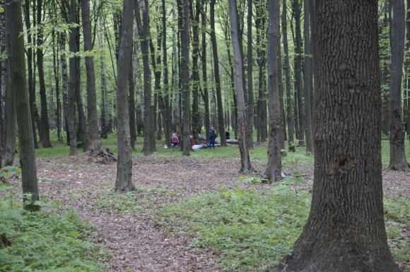 Що залишилось в Лісопарку після святкування Першотравня, фото №3 на сайті 20minut.ua