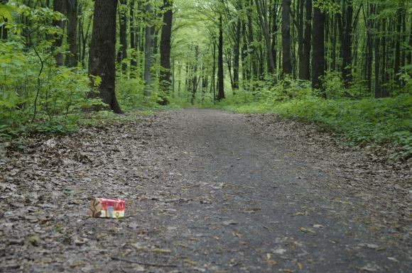 Що залишилось в Лісопарку після святкування Першотравня, фото №5 на сайті 20minut.ua