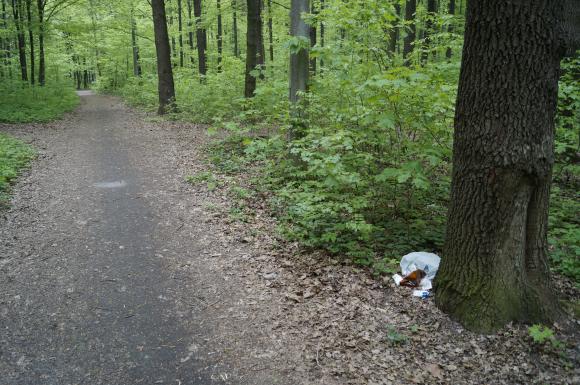 Що залишилось в Лісопарку після святкування Першотравня, фото №6 на сайті 20minut.ua