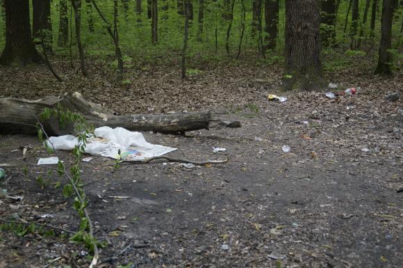 Що залишилось в Лісопарку після святкування Першотравня, фото №7 на сайті 20minut.ua