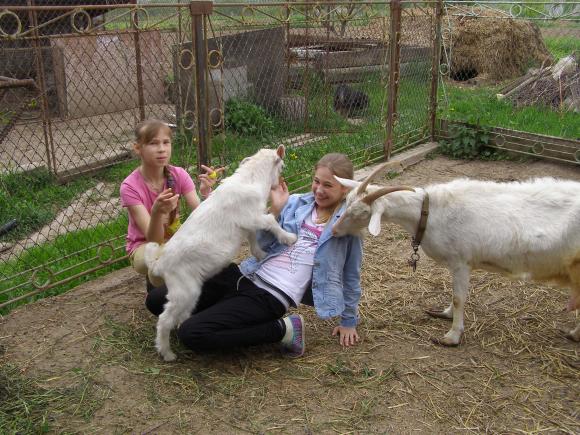 Сім’ї  загиблого бійця Петра Шептицького добудовують хату, фото №2 на сайті 20minut.ua