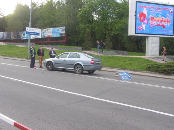 Срібляста «Шкода» збила дівчину на пішоході біля озера з лебедями, фото №4 на сайті 20minut.ua