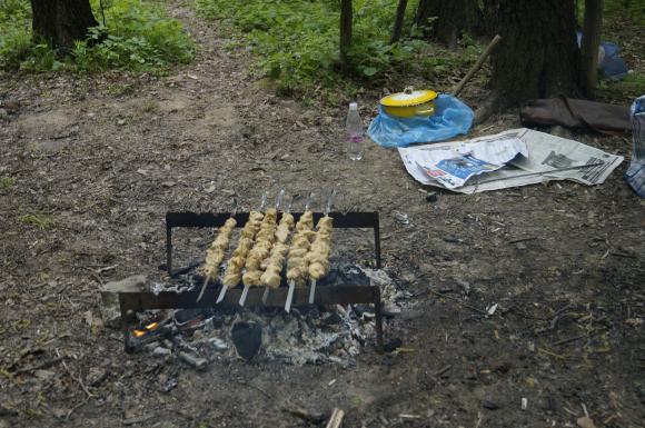 У скільки вінничанам обійшлись першотравневі шашлики, фото №1 на сайті 20minut.ua