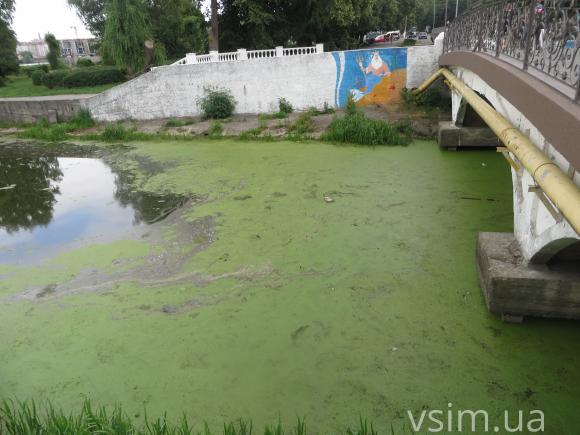 Брудну воду у парку Чекмана почистять восени, фото №1 на сайті vsim.ua