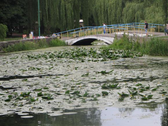 Брудну воду у парку Чекмана почистять восени, фото №8 на сайті vsim.ua