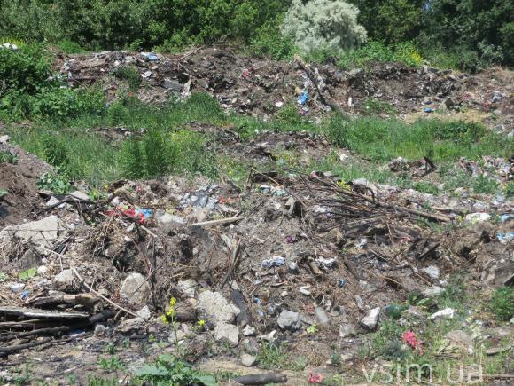 Комунальники прибирають кладовища у Хмельницькому лише на словах?, фото №4 на сайті vsim.ua