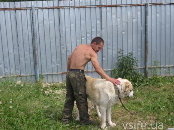 У Хмельницькому притулку здорових собак утримують волонтери, покалічених – роздають за кордон, фото №8 на сайті vsim.ua