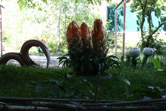 Як виглядає вінницький ЖЕК-art, фото №1 на сайті 20minut.ua