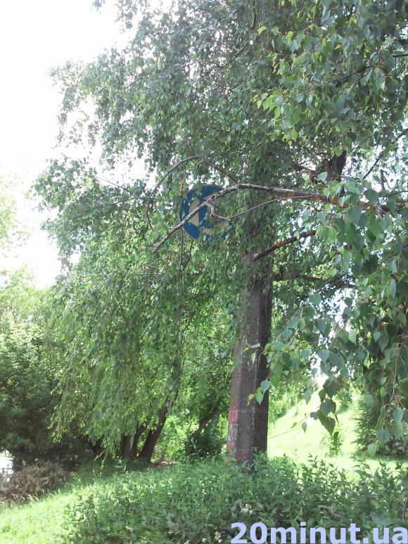 За деревами не видно знаку – повідомляйте міськраду, фото №1 на сайті 20minut.ua