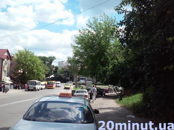 За деревами не видно знаку – повідомляйте міськраду, фото №2 на сайті 20minut.ua