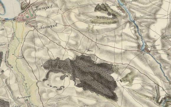 Гаї під Тернополем і забута Лучаківка, фото №1 на сайті 20minut.ua