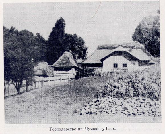 Гаї під Тернополем і забута Лучаківка, фото №2 на сайті 20minut.ua