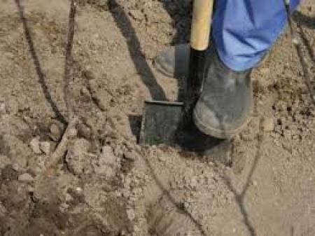 Кладовища Козятинщини вражають своїм безладом на сайті 20minut.ua Кладовища Козятинщини вражають своїм безладом, фото №1 на сайті 20minut.ua