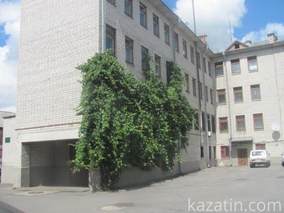 Козятин після довгоочікуваного дощу, фото №7 на сайті 20minut.ua