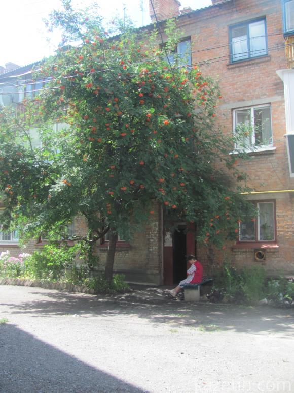 Козятин після довгоочікуваного дощу, фото №8 на сайті 20minut.ua