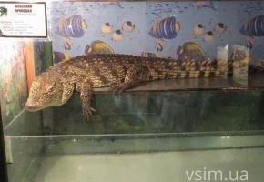 Куди у Хмельницькому піти відпочити у вечір п’ятниці на сайті vsim.ua Куди у Хмельницькому піти відпочити у вечір п’ятниці, фото №2 на сайті vsim.ua