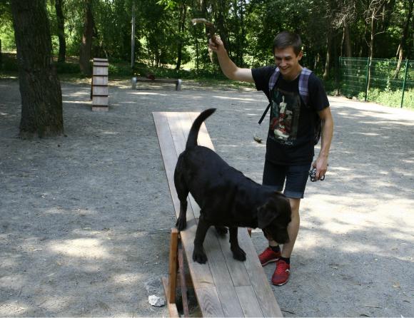 Любиш гратися з собакою? Люби за нею прибирати, фото №1 на сайті 20minut.ua