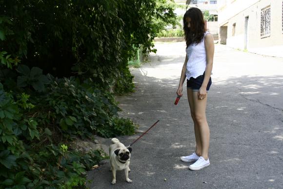 Любиш гратися з собакою? Люби за нею прибирати, фото №2 на сайті 20minut.ua