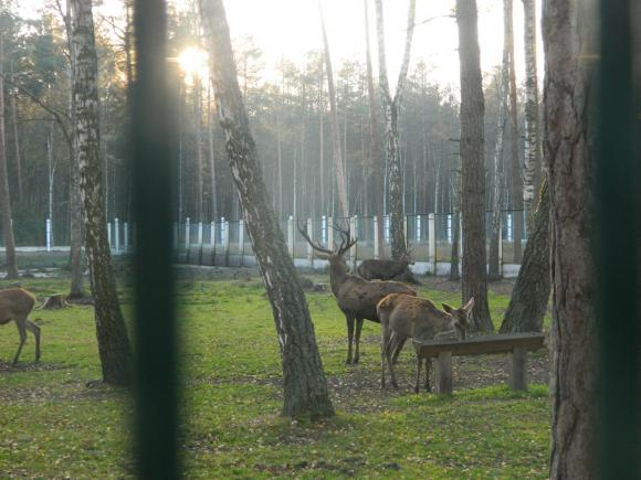 На конкурс історій економних подорожей: В Білорусь на вікенд, фото №1 на сайті 20minut.ua