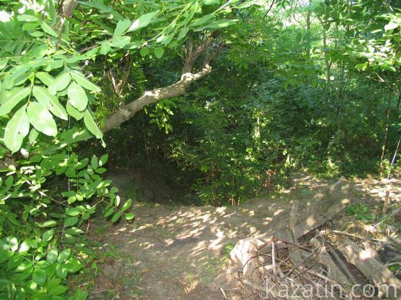 “Погоня” в Журбинцях закінчилася трагедією, фото №3 на сайті 20minut.ua