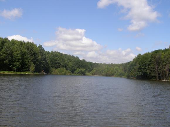 Прийдуть з вудками  під ОДА - у Зарванцях готують «рибалку» для  чиновників, фото №4 на сайті 20minut.ua