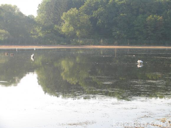 Виїздна редакція побувала в селі Безіменне, фото №10 на сайті 20minut.ua