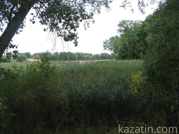 Виїздна редакція побувала в селі Безіменне, фото №11 на сайті 20minut.ua