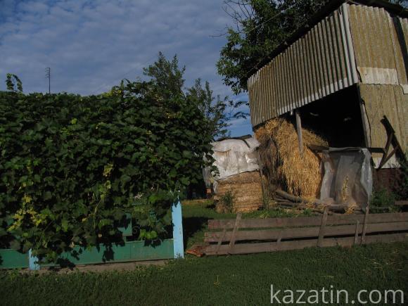 Виїздна редакція побувала в селі Безіменне, фото №18 на сайті 20minut.ua