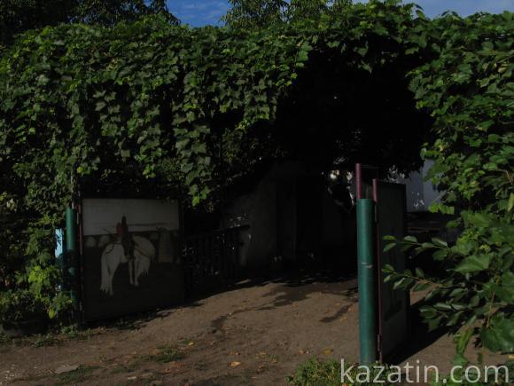 Виїздна редакція побувала в селі Безіменне, фото №19 на сайті 20minut.ua