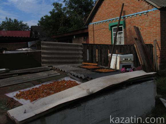 Виїздна редакція побувала в селі Безіменне, фото №22 на сайті 20minut.ua