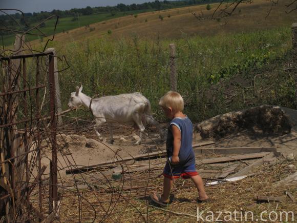 Багатодітна сім’я розпочала нове життя на Козятинщині, фото №3 на сайті 20minut.ua