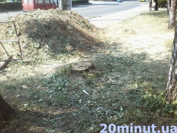 Дерева зрізали, щоб дістатись мережі, фото №1 на сайті 20minut.ua