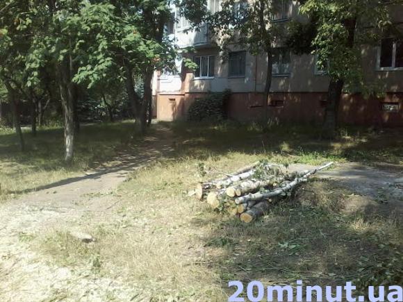 Дерева зрізали, щоб дістатись мережі, фото №2 на сайті 20minut.ua