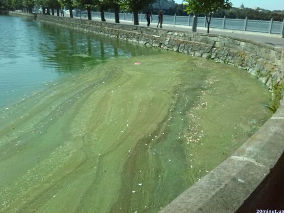 Сморід з озера потрібно просто перечекати, - кажуть в управлінні ЖКГ, фото №1 на сайті 20minut.ua