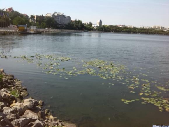 Сморід з озера потрібно просто перечекати, - кажуть в управлінні ЖКГ, фото №2 на сайті 20minut.ua