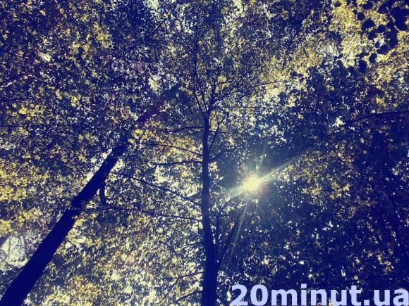 У Денишах пройшов містичний барабанний джем-сейшн «ВулБа’2015». Фоторепортаж, фото №11 на сайті 20minut.ua