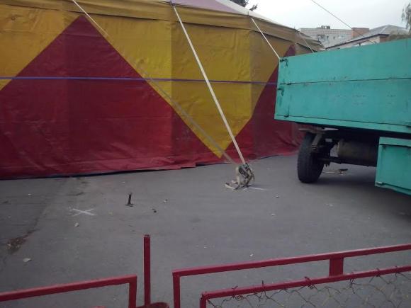 І знову цирк на площі міста на сайті 20minut.ua І знову цирк на площі міста, фото №1 на сайті 20minut.ua