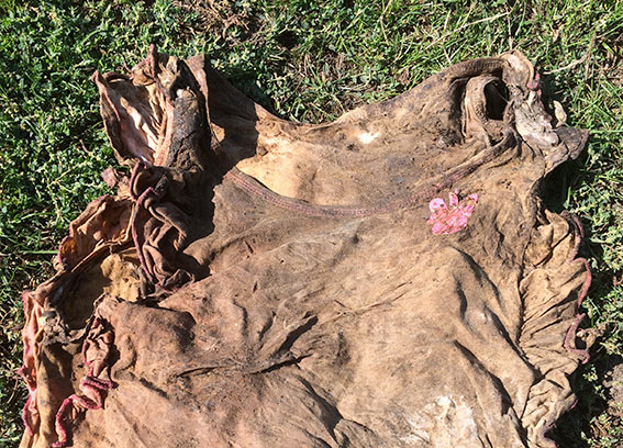 На Хмельниччині на пасовищі знайшли фрагменти людського тіла, фото №2 на сайті vsim.ua