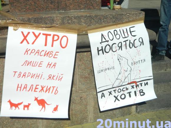 Кіт також прийшов на марш "За Життя" захищати права тварин, фото №1 на сайті 20minut.ua
