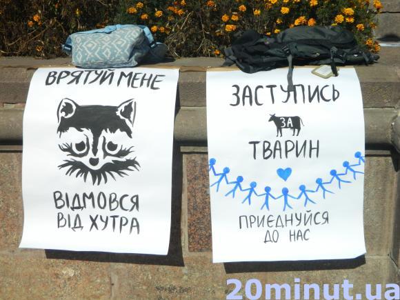 Кіт також прийшов на марш "За Життя" захищати права тварин, фото №2 на сайті 20minut.ua