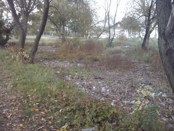 Територію школи № 9 приберуть, як тільки з'явиться вільний час, фото №2 на сайті 20minut.ua