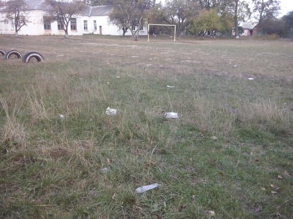 Територію школи № 9 приберуть, як тільки з'явиться вільний час, фото №3 на сайті 20minut.ua