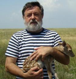 Вінницька пустеля – реальність?, фото №1 на сайті 20minut.ua