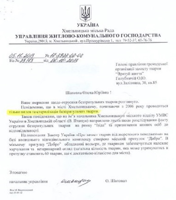 Безпритульні собаки Хмельницького: як вирішити проблему?, фото №2 на сайті vsim.ua