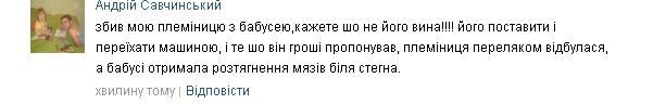 На Симоненка збили жінку з дитиною. Кажуть, винуватець - екс-прокурор, фото №5 на сайті 20minut.ua