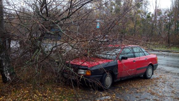 На Старому місті на машину впало дерево на сайті 20minut.ua На Старому місті на машину впало дерево, фото №1 на сайті 20minut.ua