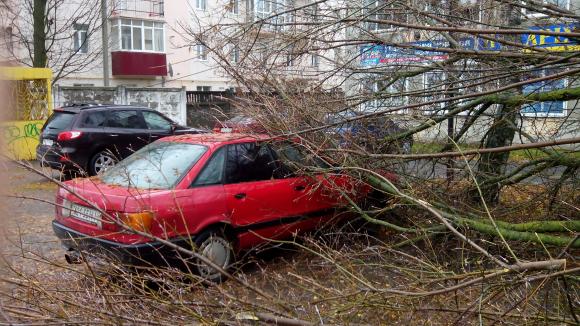 На Старому місті на машину впало дерево на сайті 20minut.ua На Старому місті на машину впало дерево, фото №2 на сайті 20minut.ua